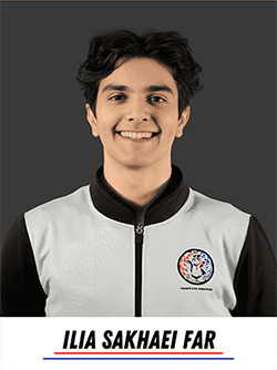 Ilia Sakhaei Far